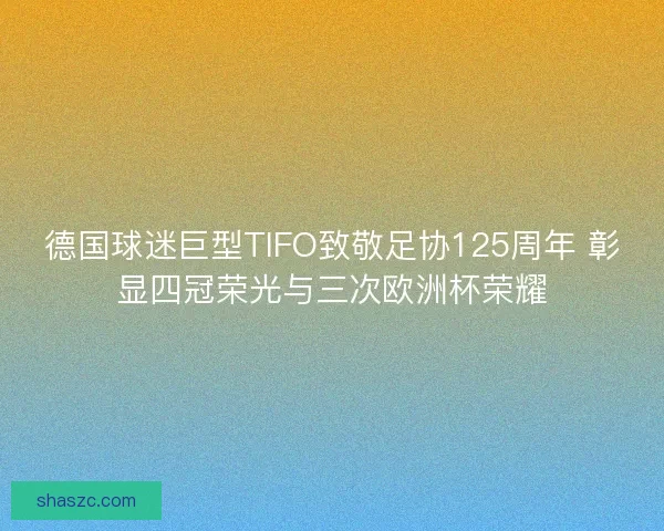 德国球迷巨型TIFO致敬足协125周年 彰显四冠荣光与三次欧洲杯荣耀